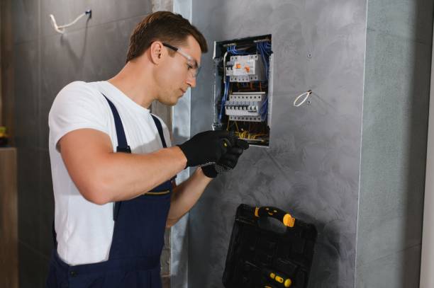 Best Electrical Repair Services  in Albion, MI